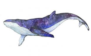 Фреска синий кит